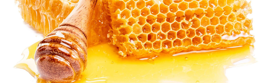 Jarrah vs Manuka: Why Jarrah Honey is the Superior Choice for Health and Healing