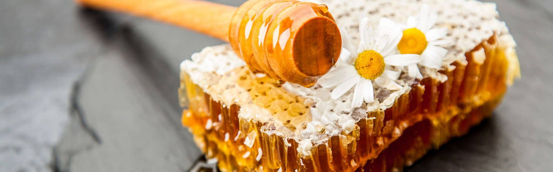 Wildflower Honey: A Taste of Nature's Best-Kept Secret